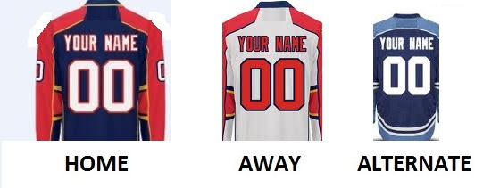 (image for) FLORIDA Pro Hockey Number Kit